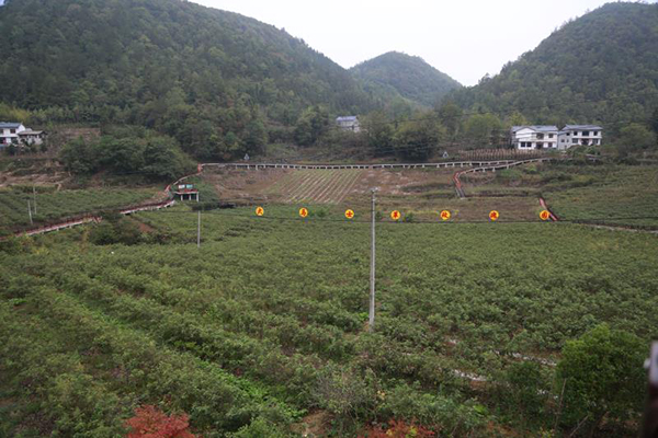 湖北建始：一身尘土两脚泥 浇灌村庄幸福花